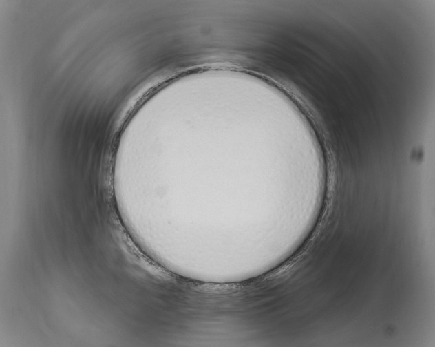 X0000114031240200911131242