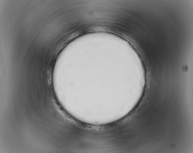 X0000114031241200911131242