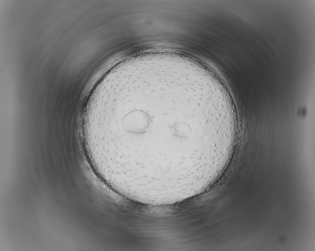 X0000114031243200911131242