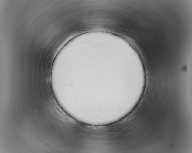 X0000114031244200911131242