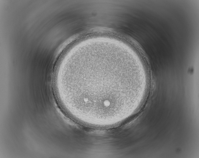 X0000114031245200911131242