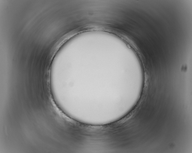 X0000114031247200911131242