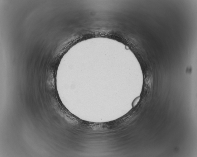 X0000114031252200911131241