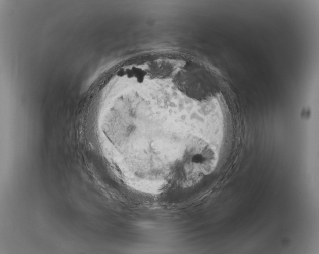 X0000114031255200911131241