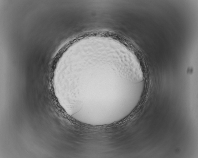 X0000114031256200911131241