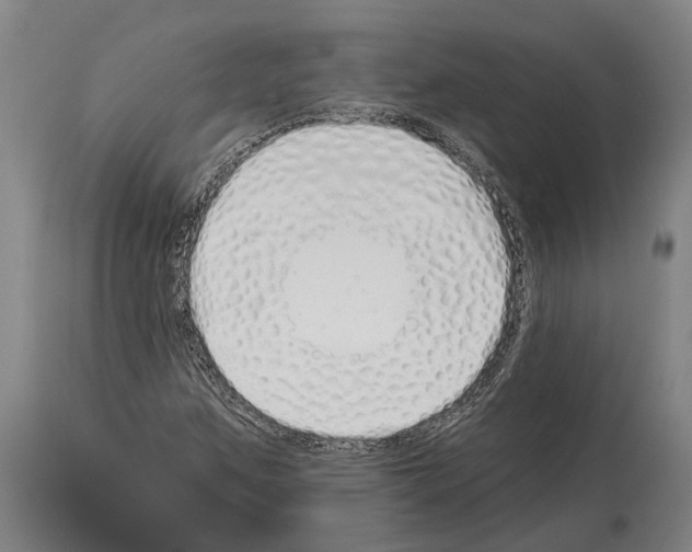 X0000114031259200911131241