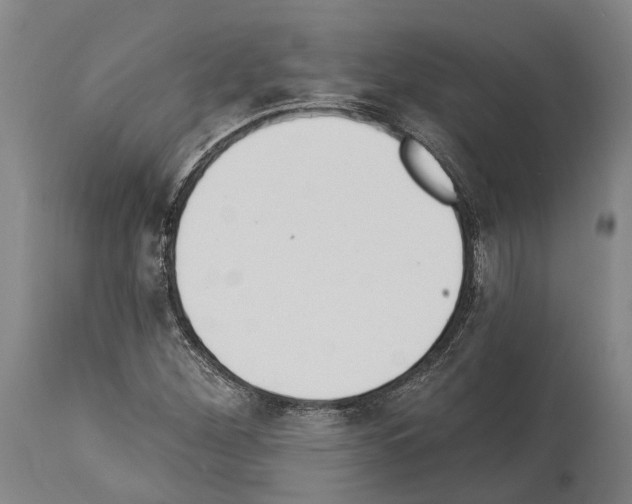 X0000114031260200911131241