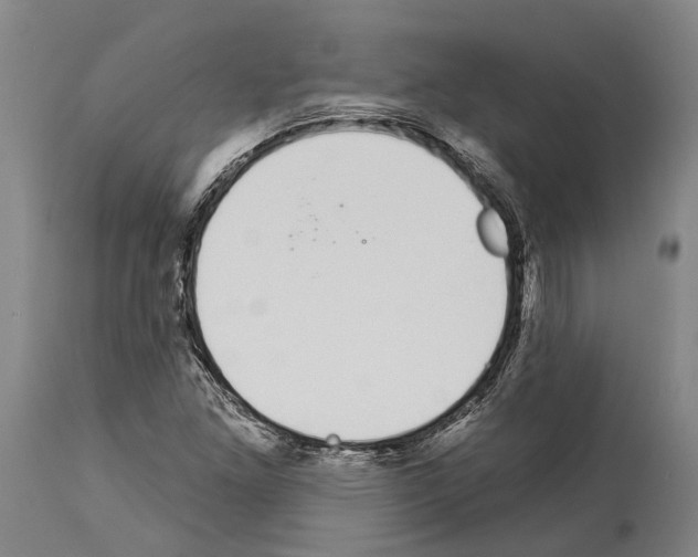 X0000114031261200911131241