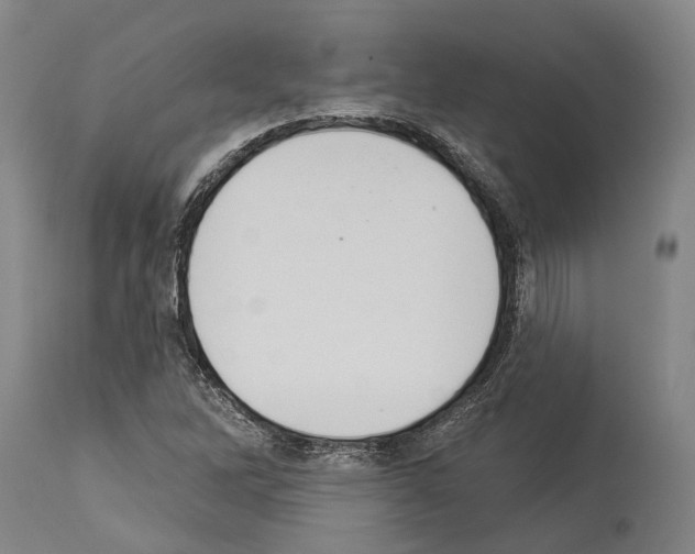 X0000114031262200911131241