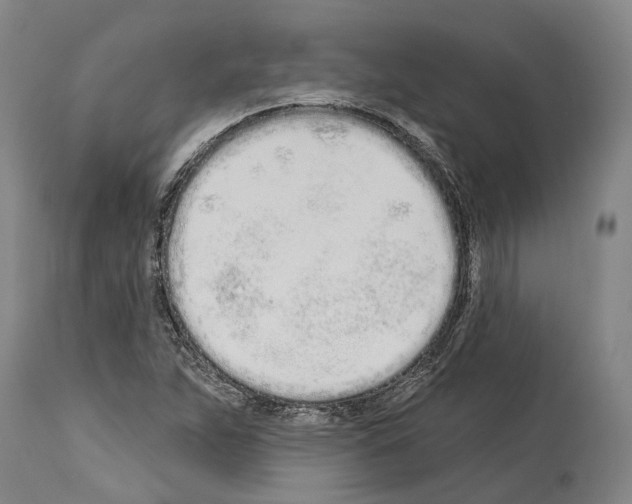 X0000114031263200911131241