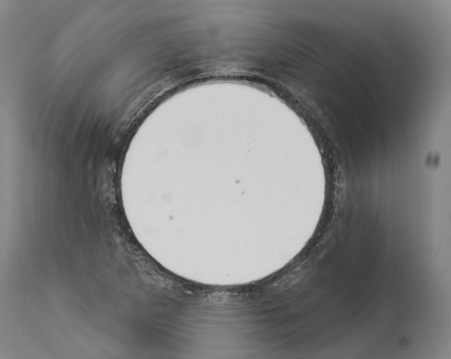 X0000114031265200911131241