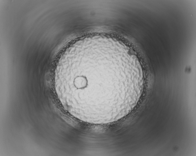 X0000114031266200911131241