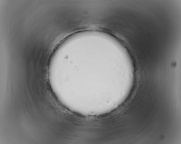 X0000114031267200911131241