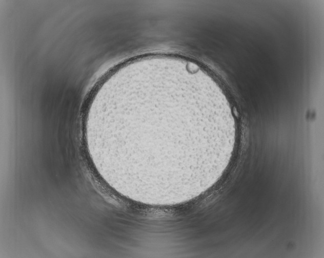 X0000114031270200911131241