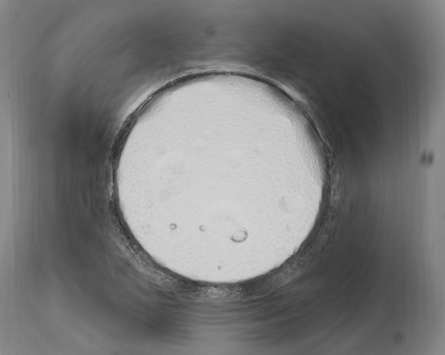 X0000114031271200911131241