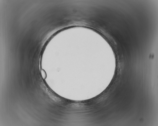 X0000114031272200911131241