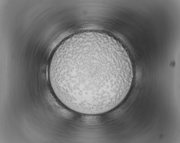 X0000114031274200911131241