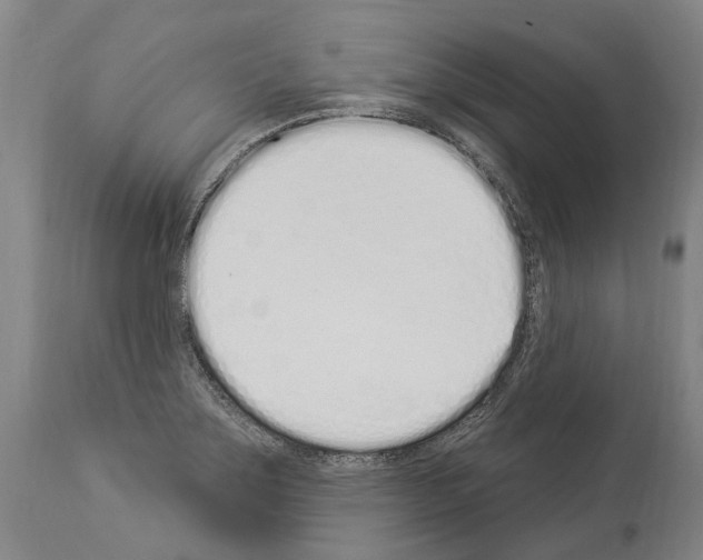 X0000114031275200911131241