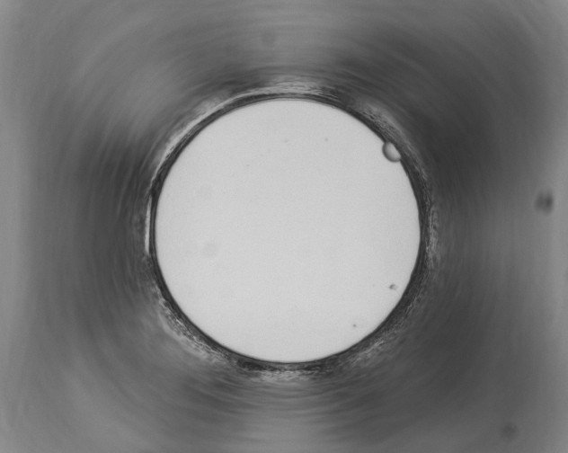 X0000114031276200911131241