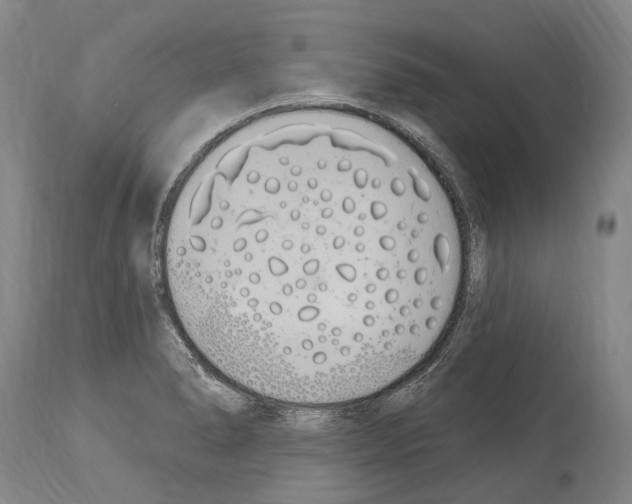 X0000114031278200911131241