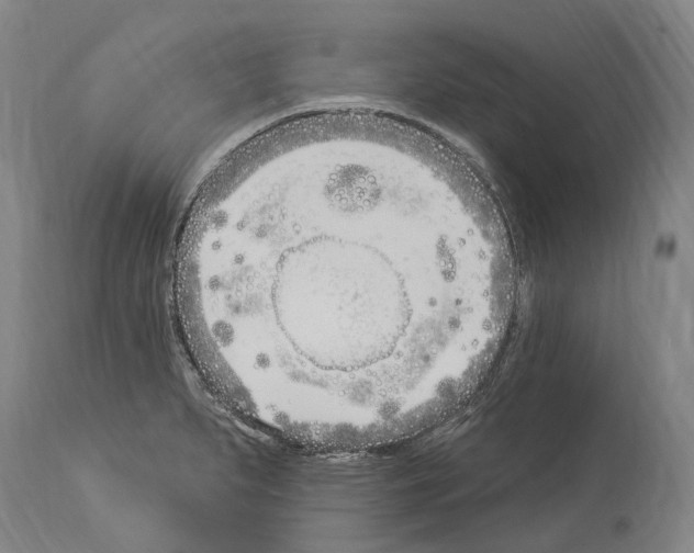 X0000114031279200911131241