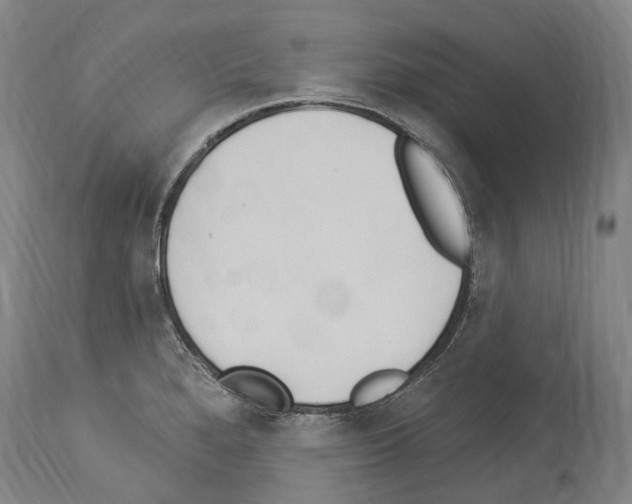 X0000114031280200911131241