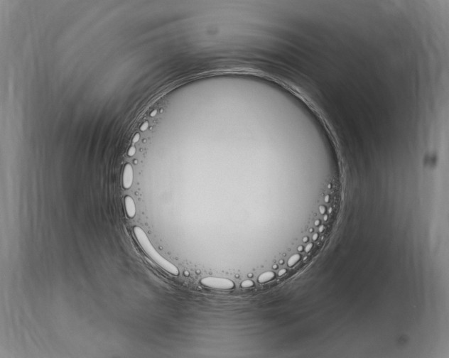 X0000114031281200911131241