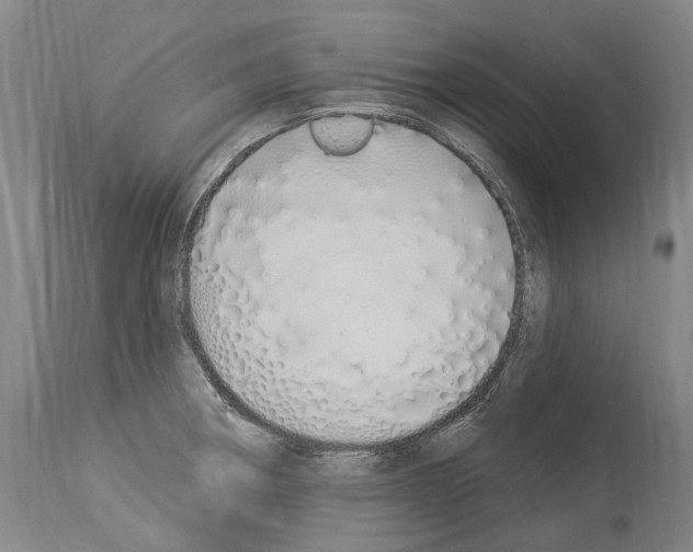 X0000114031282200911131241