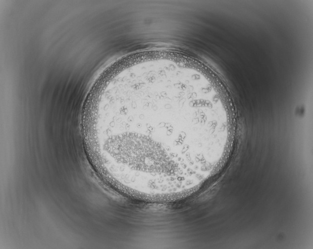 X0000114031283200911131241