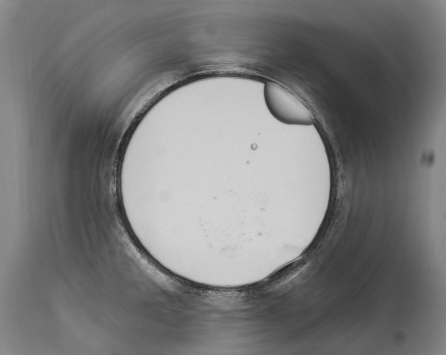 X0000114031285200911131241