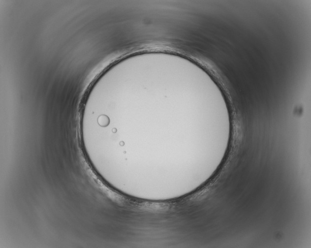 X0000114031286200911131241