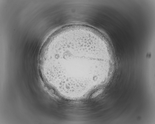 X0000114031287200911131241