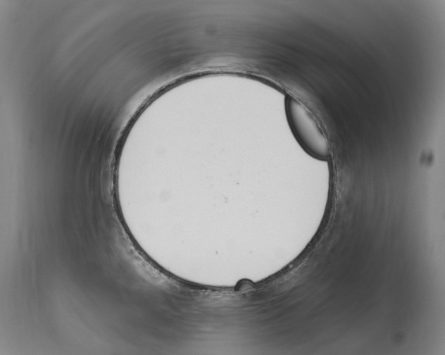 X0000114031288200911131241