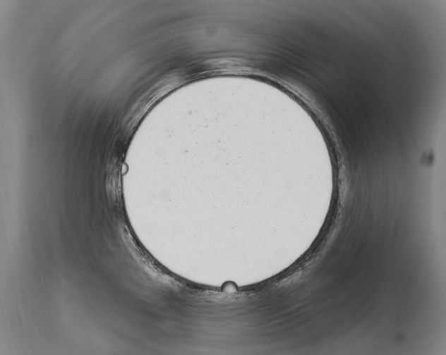 X0000114031289200911131241