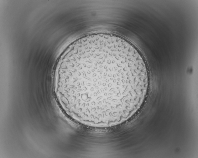 X0000114031290200911131241