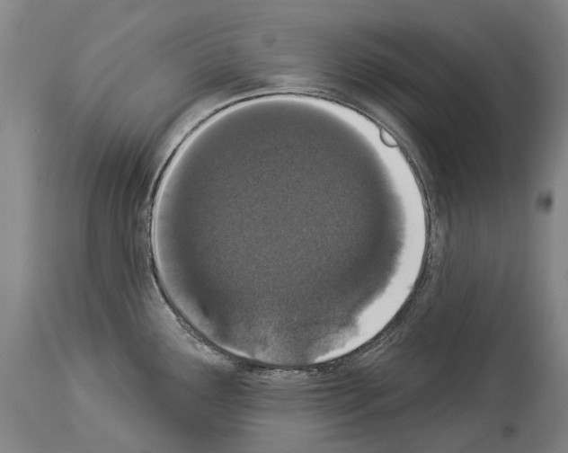 X0000114031291200911131241