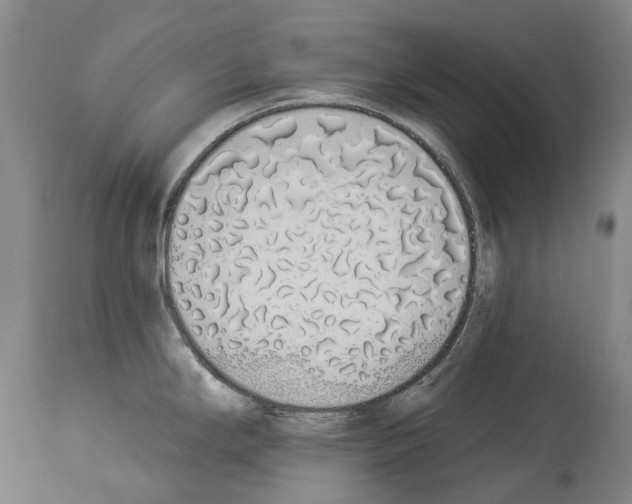 X0000114031294200911131241