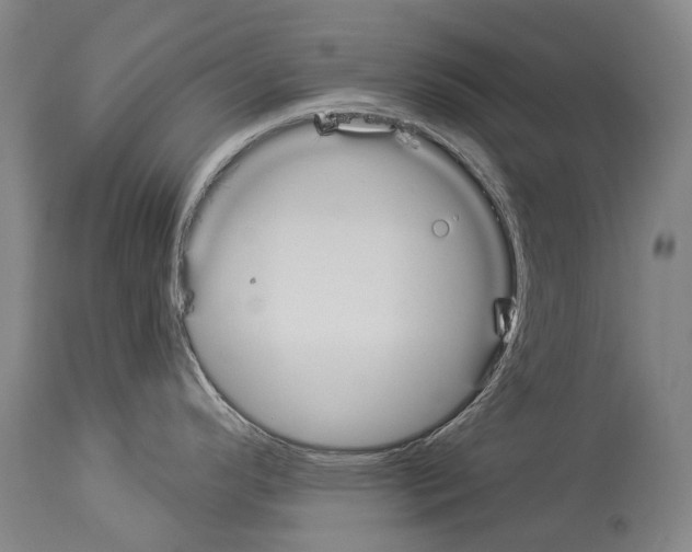 X0000114031296200911131240