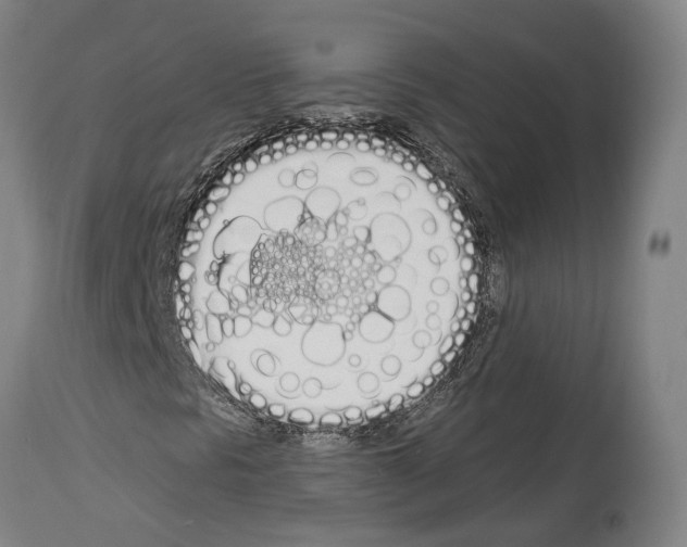 X0000114031297200911131240