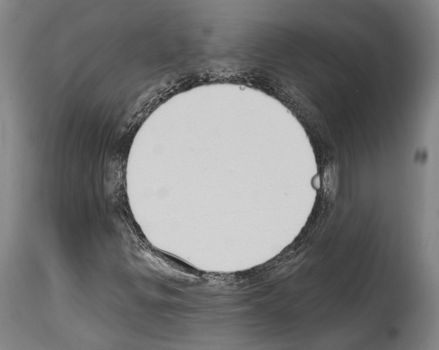 X0000114031299200911131240