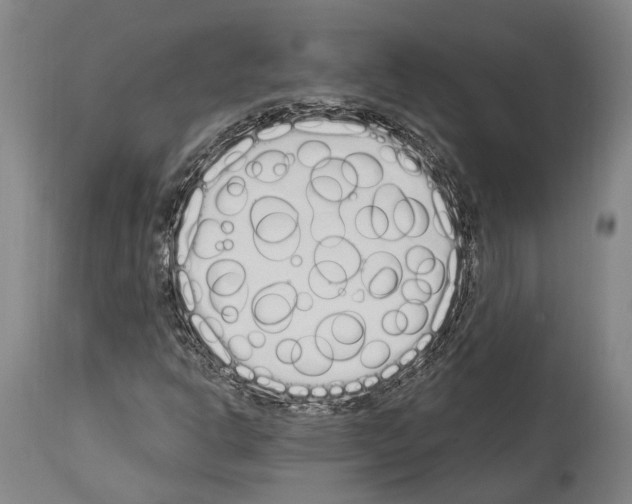 X0000114031302200911131240