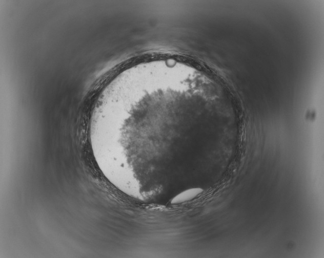 X0000114031303200911131240