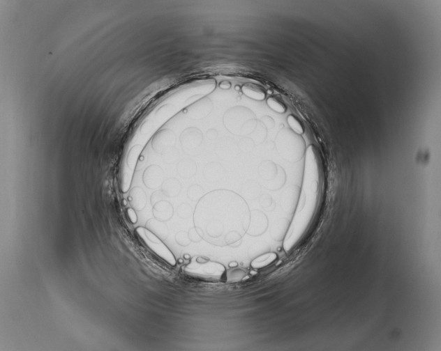 X0000114031305200911131240