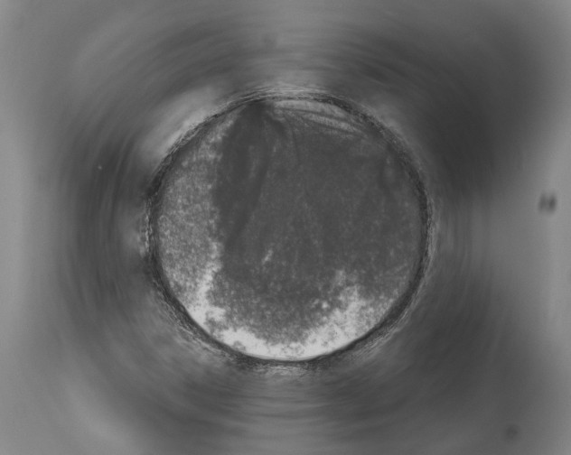 X0000114031306200911131240