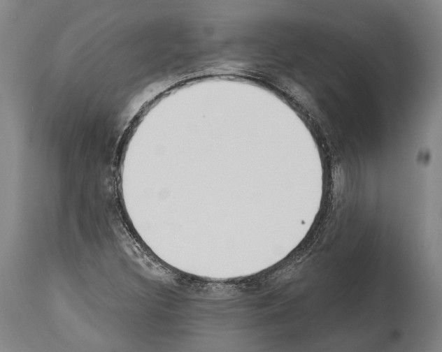 X0000114031308200911131240