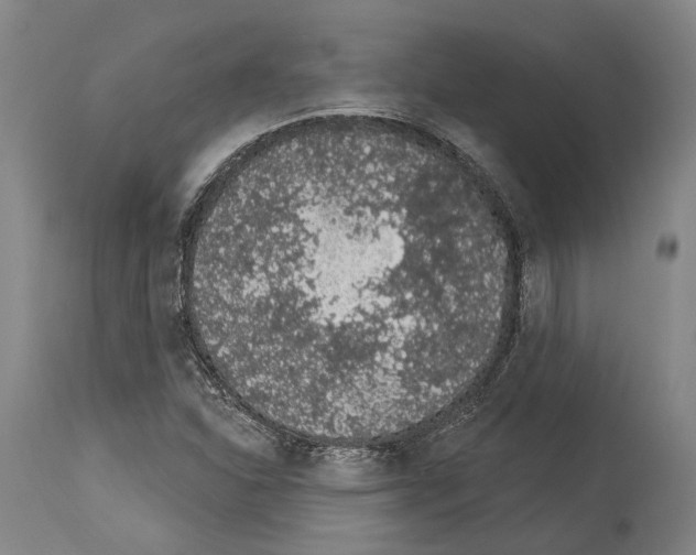 X0000114031310200911131240