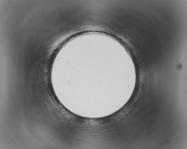 X0000114031311200911131240