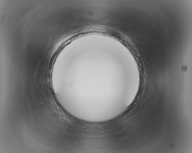 X0000114031312200911131240