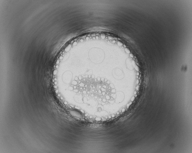 X0000114031313200911131240