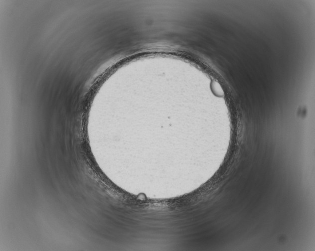 X0000114031315200911131240